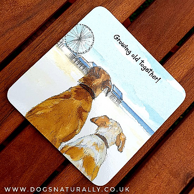 Growing Old Dog Lover Coaster